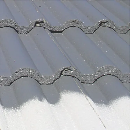 Flooring and roof coatings - Pilot India